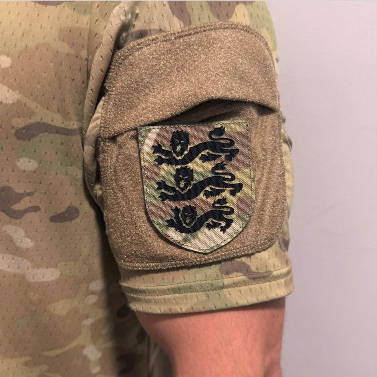 Three Lions Crest